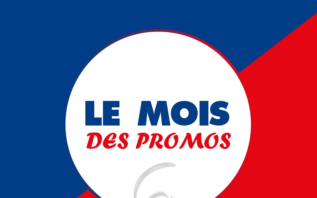 Promotion en cours chez BigMat Camozzi